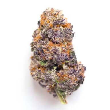 Modified Grape | Flower | 14g