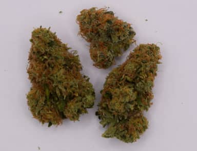 Lemon Cherry Gelato | Flower | 14g