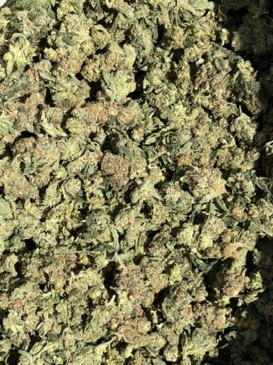 Grind | Flower | 28g (1 oz)