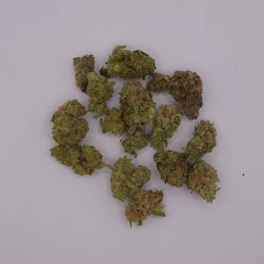Small Bud Special | Flower | 28g