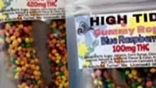 High Tide | Freezer Pops | 100mg