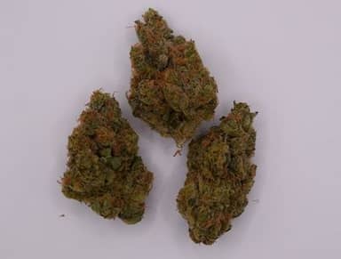 Banana Clipz | Flower | 14g