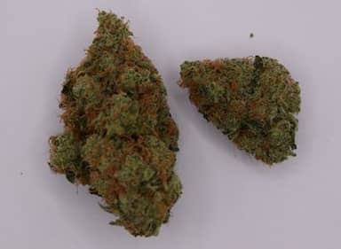 Straw Sour Haze | Flower | 14g
