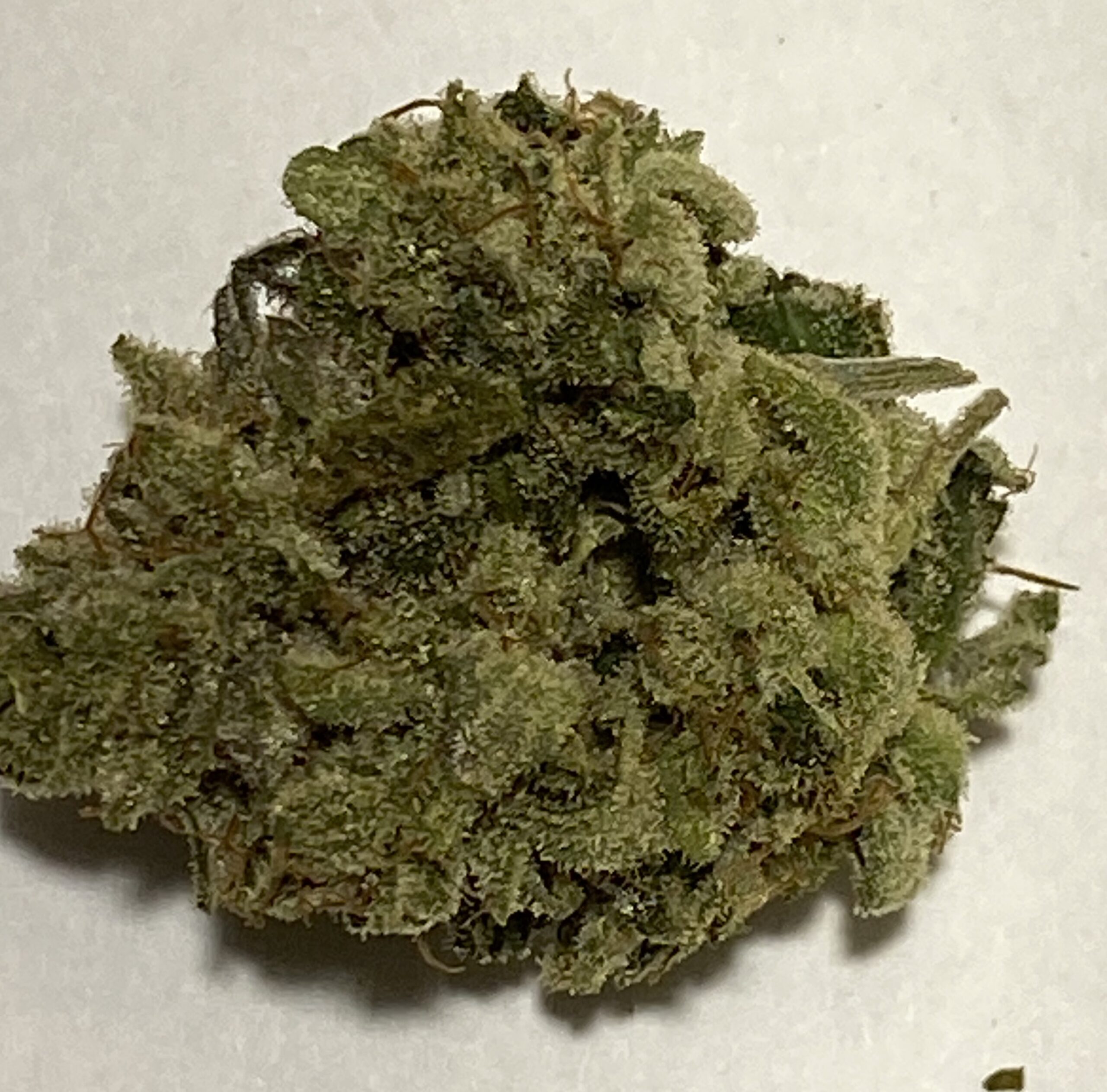 Gorilla Glue #4 (marijuana review) – The Denver Post