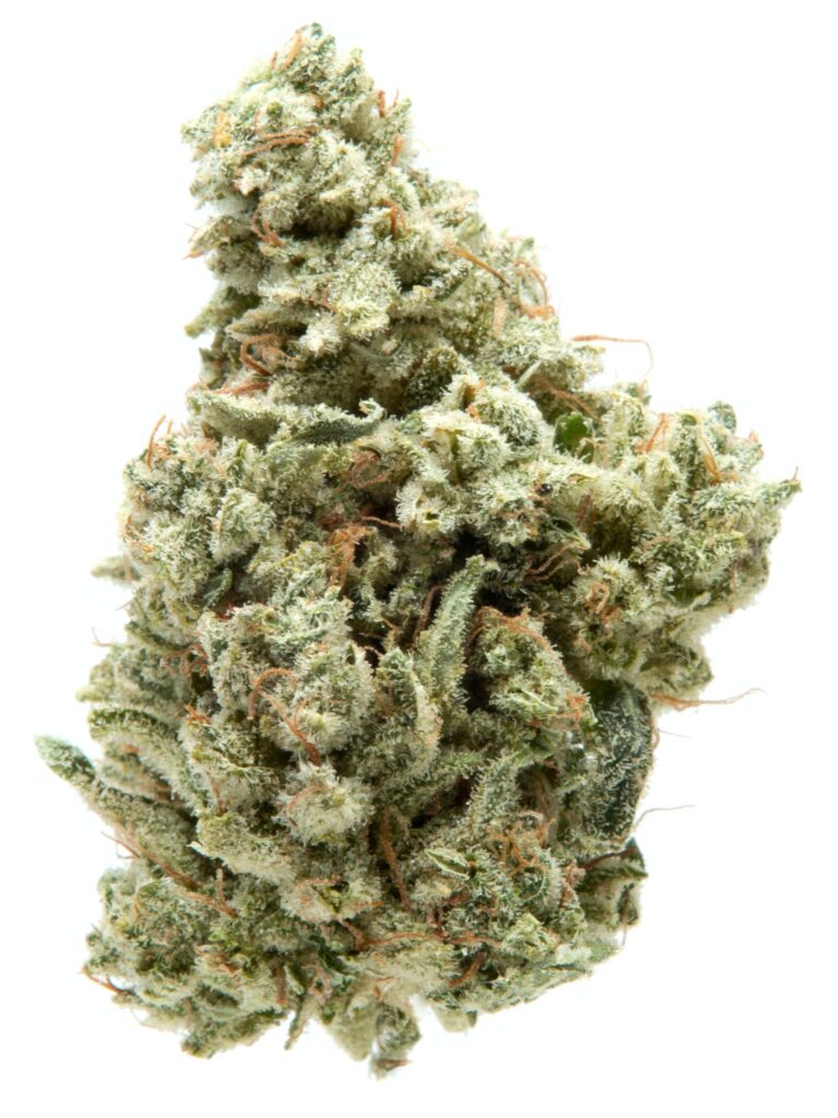 Gorilla Glue 4 Cannabis Flower