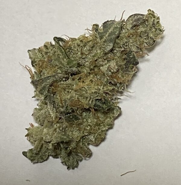 GMO Garlic Cookies Flower