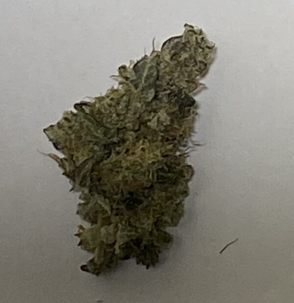 GMO Garlic Cookies Flower