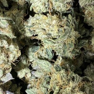 GMO Garlic Cookies Flower