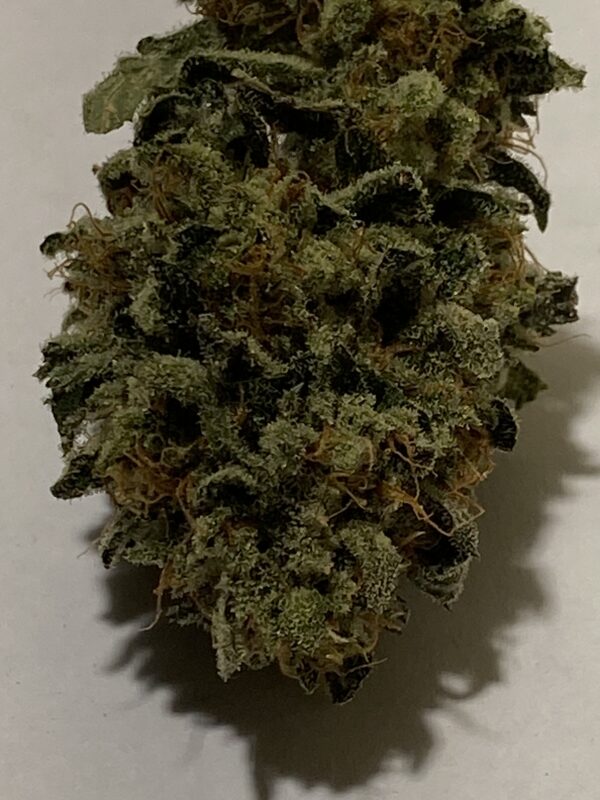 LA Cheese Cannabis Flower