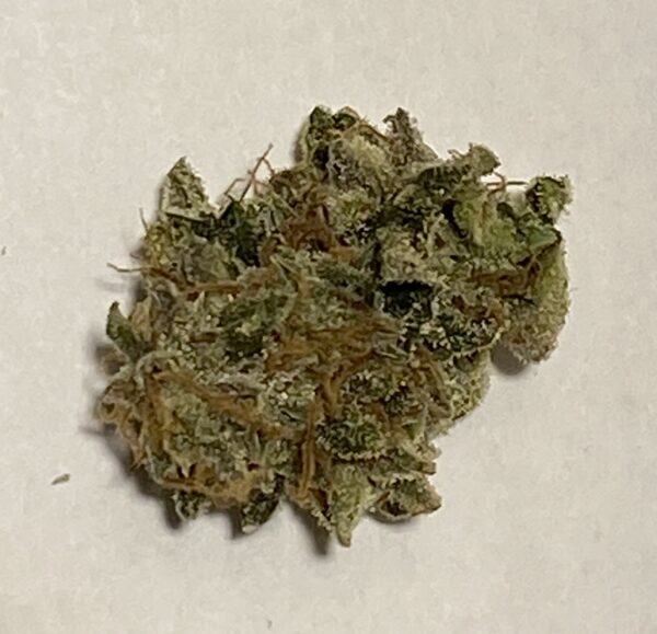Lemon Tree Cannabis Flower