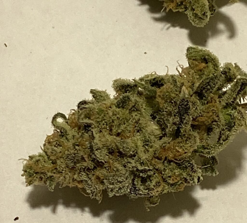 Mandarin Chem Dog