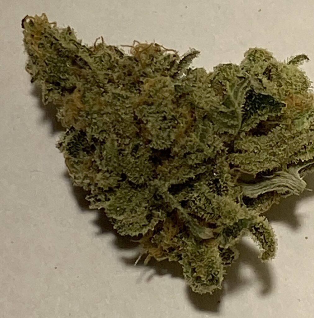 Mandarin Chem Dog