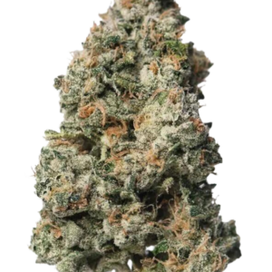 Black Maple Cannabis Flower