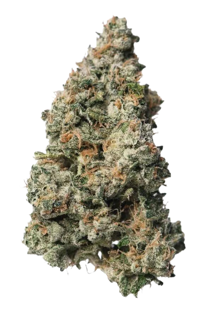 Black Maple Cannabis Flower 